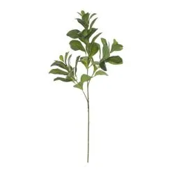 Rogue Lush Leaf Spray