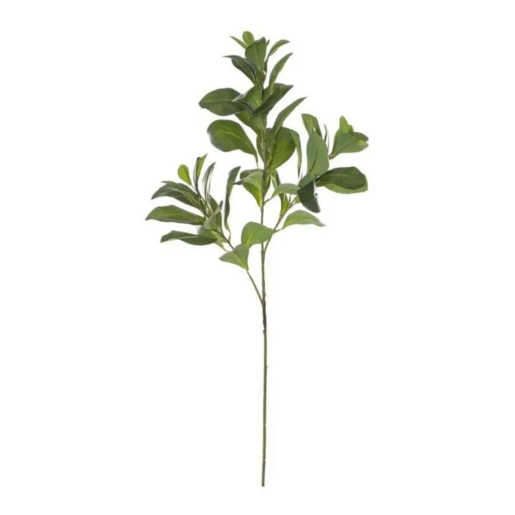 Rogue Lush Leaf Spray 3 Rogue Lush Leaf Spray