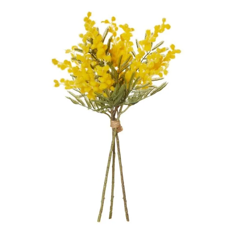 Rogue Wattle Bundle Yellow 3 Rogue Wattle Bundle Yellow