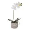 Rogue Butterfly Orchid Etched Pot 36 Cm White 2 Rogue Butterfly Orchid Etched Pot 36 Cm White -Deals Bedding Store BP645016 nc