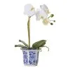 Rogue Butterfly Orchid In ChInoiserie Pot 2 Rogue Butterfly Orchid In ChInoiserie Pot -Deals Bedding Store SP 609300
