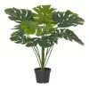 Rogue Monstera Plant In Garden Pot -Deals Bedding Store SP 612107