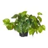 Rogue Pothos In Garden Pot -Deals Bedding Store SP 613772