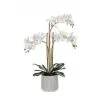 Rogue White Orchid In Ceramic Pot -Deals Bedding Store SP 613854