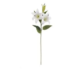 Rogue Lily Spray Stem White
