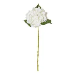 Rogue Hydrangea Stem White