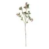 Rogue Seeding Spray Stem Pink 2 Rogue Seeding Spray Stem Pink -Deals Bedding Store SP 617241