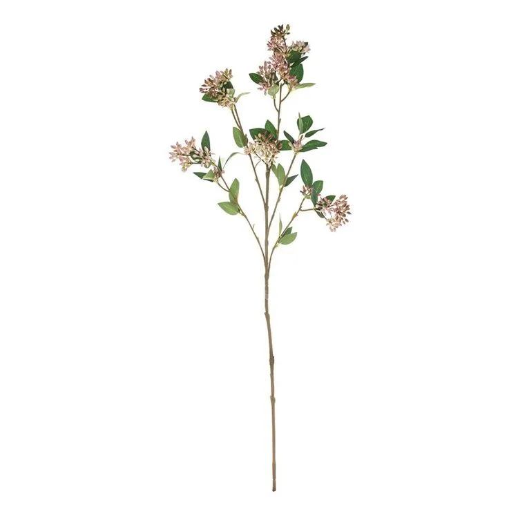 Rogue Seeding Spray Stem Pink 3 Rogue Seeding Spray Stem Pink