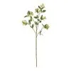 Rogue Seeding Spray Stem Green 2 Rogue Seeding Spray Stem Green -Deals Bedding Store SP 617243