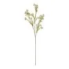 Rogue Wax Flower Stem White