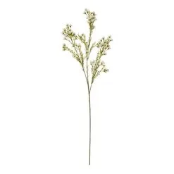 Rogue Wax Flower Stem White