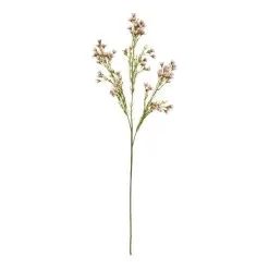 Rogue Wax Flower Stem Pink