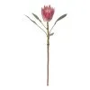 Rogue King Protea Stem Pink