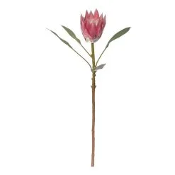Rogue King Protea Stem Pink