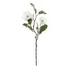 Rogue Chinese Magnolia Spray White 25 X15 X 51cm 1 Rogue Chinese Magnolia Spray White 25 X15 X 51cm -Deals Bedding Store SP 632457