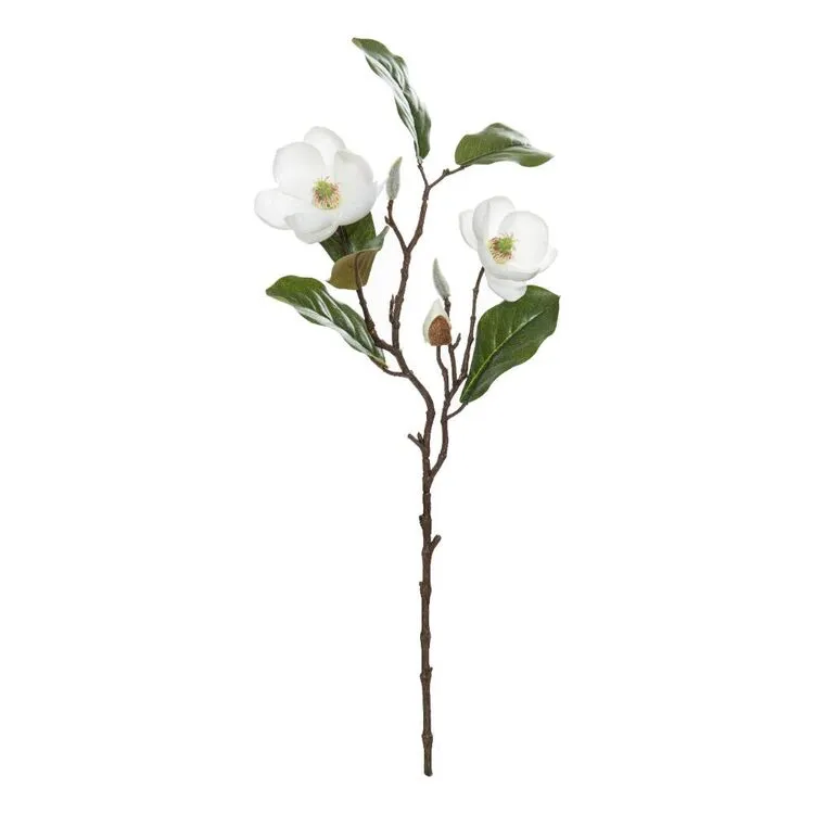Rogue Chinese Magnolia Spray White 25 X15 X 51cm 3 Rogue Chinese Magnolia Spray White 25 X15 X 51cm