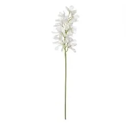 Rogue Oncidium Orchid Spray White 82 Cm