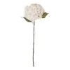 Rogue Hydrangea Stem Dusty Ivory 26 X 23 X 66cm -Deals Bedding Store SP 632467