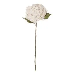 Rogue Hydrangea Stem Dusty Ivory 26 X 23 X 66cm