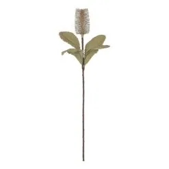 Rogue Banksia Stem White 74cm