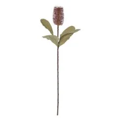 Rogue Banksia Stem Mauve 74cm