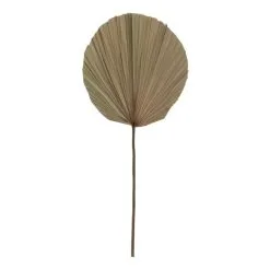 Rogue Dried Cut Fan Palm Stem Natural 30 X 1 X 73 Cm