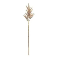 Rogue Astilbe Stem Brown 16 X 14x 82cm
