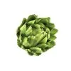 Rogue Artichoke Head 13cm Green