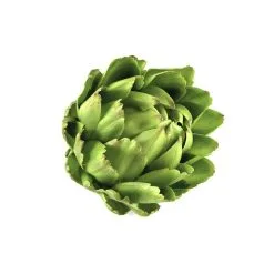 Rogue Artichoke Head 13cm Green