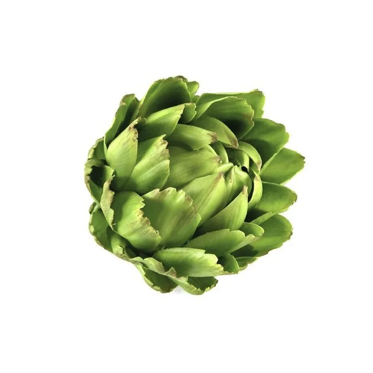 Rogue Artichoke Head 13cm Green 3 Rogue Artichoke Head 13cm Green