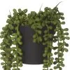 Rogue String Of Pearls Pot 14x23cm -Deals Bedding Store SP 632517 2
