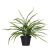 Rogue Boston Fern Garden Pot Green 50 X 50 X 53 Cm -Deals Bedding Store SP 632523