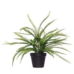 Rogue Boston Fern Garden Pot Green 50 X 50 X 53 Cm