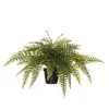 Rogue Ruffle Fern Pot 70x70x40cm -Deals Bedding Store SP 632525