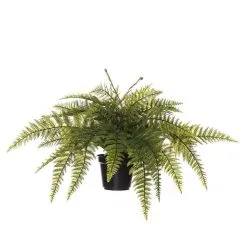 Rogue Ruffle Fern Pot 70x70x40cm