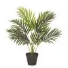Rogue Areca Palm Pot 50x55cm 2 Rogue Areca Palm Pot 50x55cm -Deals Bedding Store SP 632546