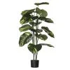 Rogue Pothos Plant Pot -Deals Bedding Store SP 632554