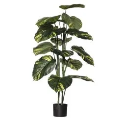 Rogue Pothos Plant Pot