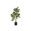 Rogue Fiddle Tree 50x50x90cm -Deals Bedding Store SP 632570
