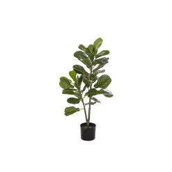 Rogue Fiddle Tree 50x50x90cm