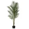 Rogue Areca Palm 150cm -Deals Bedding Store SP 632574