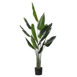 Rogue Bird Of Paradise Pot 140cm