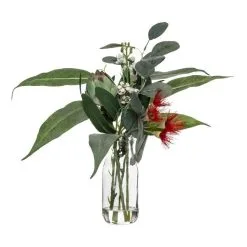 Rogue Australiana Wattle Flower Mix-Milk Bottle Red & Clear 26 X 26 X 29 Cm
