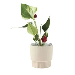 Linen House 10cm Planter Pot Rivera Taupe