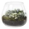 Rogue Lotus Echeveria Garden Vase 20 X 20 X 18 Cm -Deals Bedding Store SP 639253