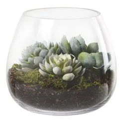 Rogue Lotus Echeveria Garden Vase 20 X 20 X 18 Cm