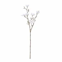 Rogue Magnolia Spray 26 X 26 X 66 Cm White