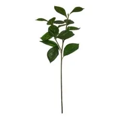 Rogue Hydrangea Leaf Spray 30 X 30 X 81 Cm Green