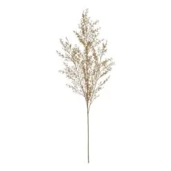 Rogue Tea Leaf Spray 40 X 15 X 97 Cm Natural