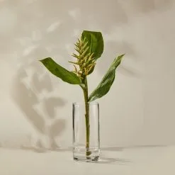 Casa Domani Moda Cylindrical Vase 25cm Gift Boxed